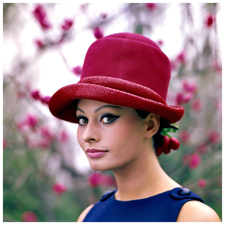 Софи Лорен, 1964 год