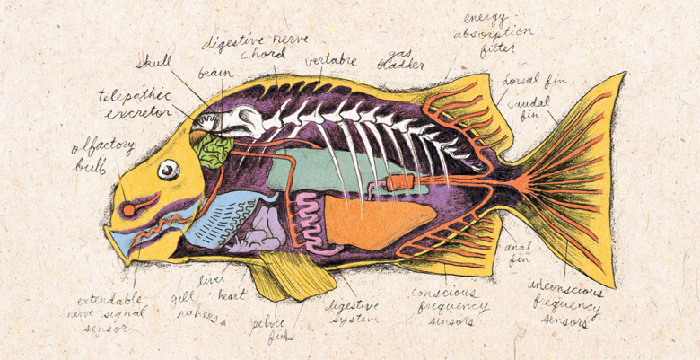 Анатомия вавилонской рыбки согласно описанию в романе Дугласа Адамса «Автостопом по галактике»