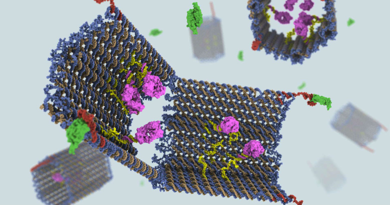 ДНК-нанороботы. Фото: Wyss Institute
