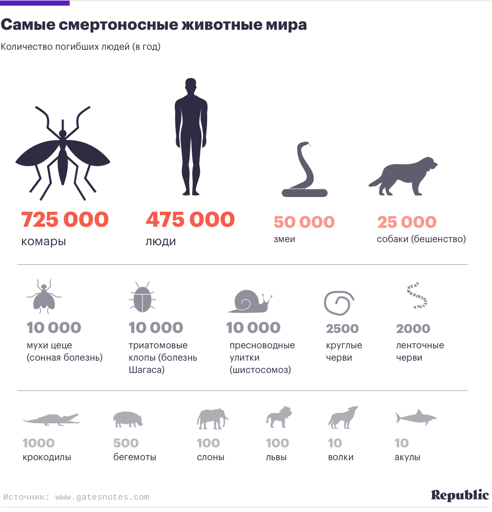 Сколько питомцев. Статистика смертей от животных. Статистика смертей людей от животных. Статистика смертей от животных в мире. Статистика смертности от ядовитых животных.