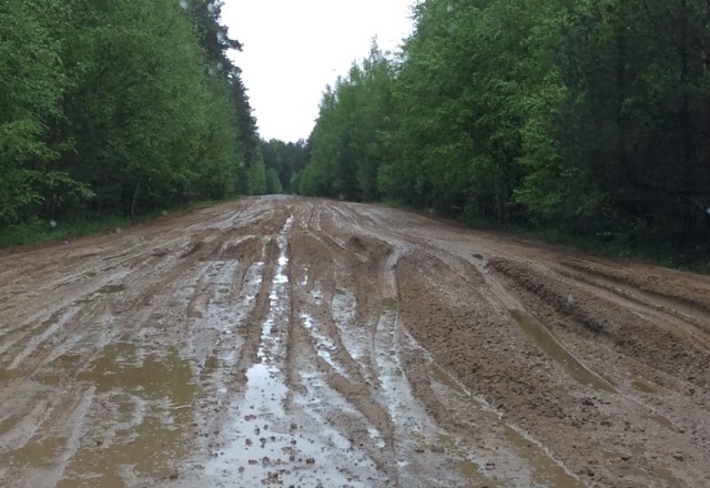 Вот так теперь выглядит дорога, соединяющая трассу Псков – Гдов с деревней Самолва