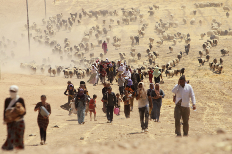 Беженцы-езиды покидают Синджар после его захвата ИГИЛ.