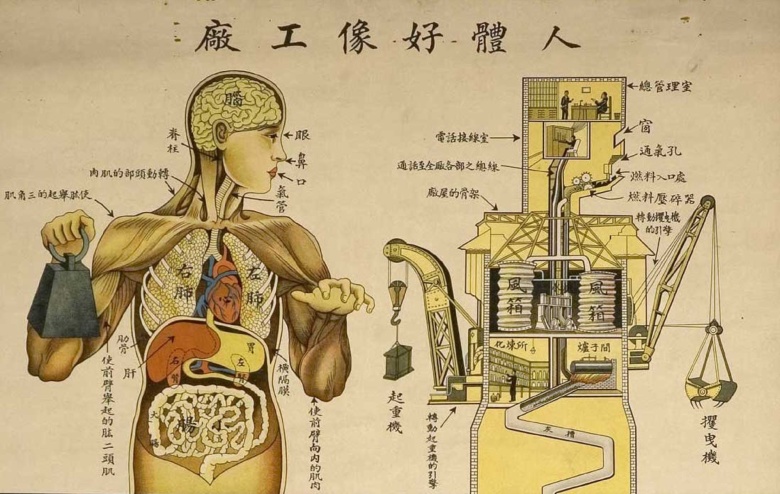 Человек — это фабрика. Китайский просветительский плакат. Шанхай, 1933.