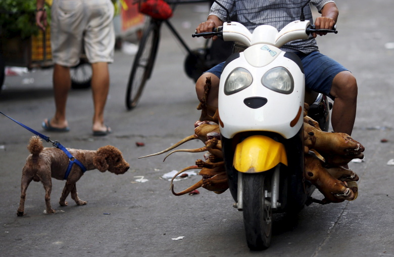 Фестиваль поедания собачьего мяса в Юйлине, Китай. Фото: Kim Kyung Hoon / Reuters