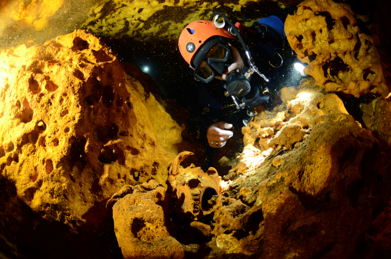 Пещерная система Сак-Актун в Мексике. Фото: Herbert Mayrl / Gran Acuifero Maya Project / Reuters