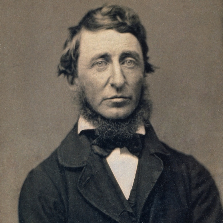 Генри Дэвид Торо, 1856 год // Wikimedia Commons