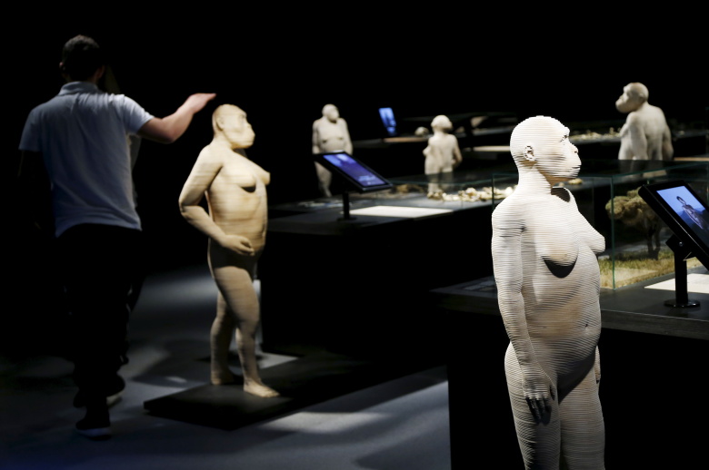 3D-модели ранних человеческих видов, Музей естественных наук, Брюссель. Фото: Francois Lenoir / Reuters