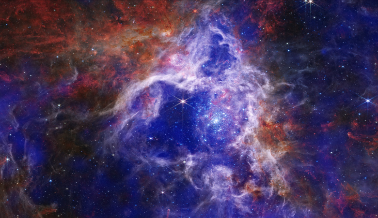 Комбинированное изображение туманности Тарантул (179 000 св. лет от Земли), составленное из снимков, сделанных космическими телескопами Chandra и James Webb. Туманность, находящаяся в Большом Магеллановом облаке (галактика-спутник Млечного пути), представляет особый интерес, поскольку ее химический состав напоминает условия в нашей галактике несколько миллиардов лет назад, в период активного формирования звезд.
