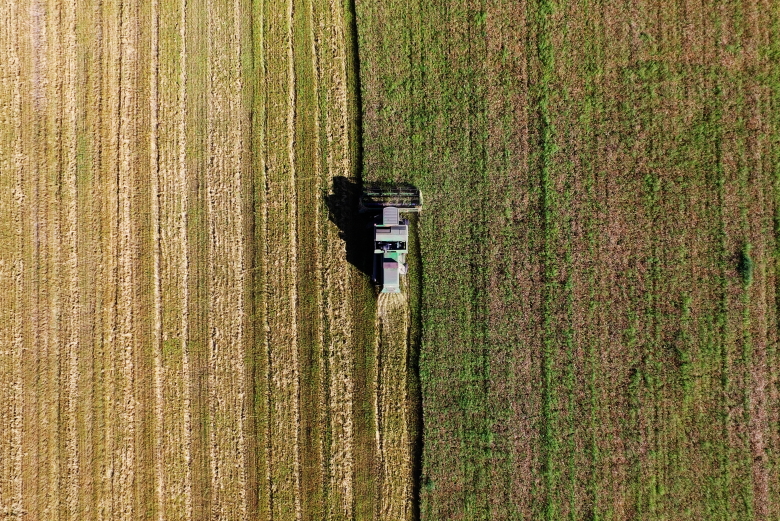 Уборка пшеницы в Приморском крае. Фото: Юрий Смитюк / ТАСС