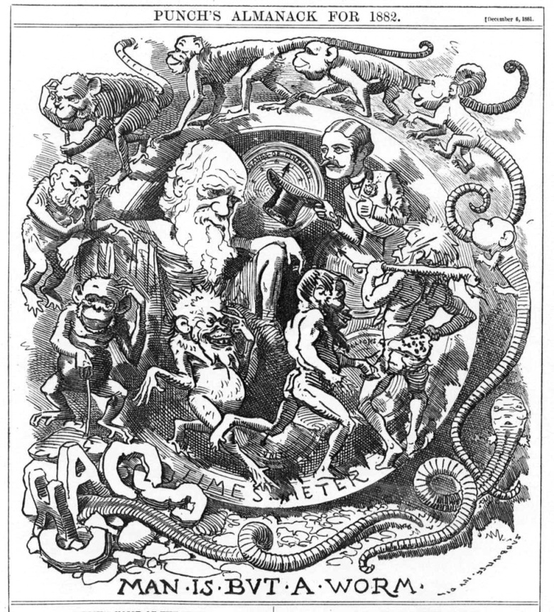Карикатура «Человек всего лишь червь», 1882 год