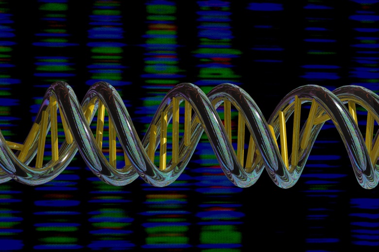 Спираль ДНК. Иллюстрация: wellcomeimages.com