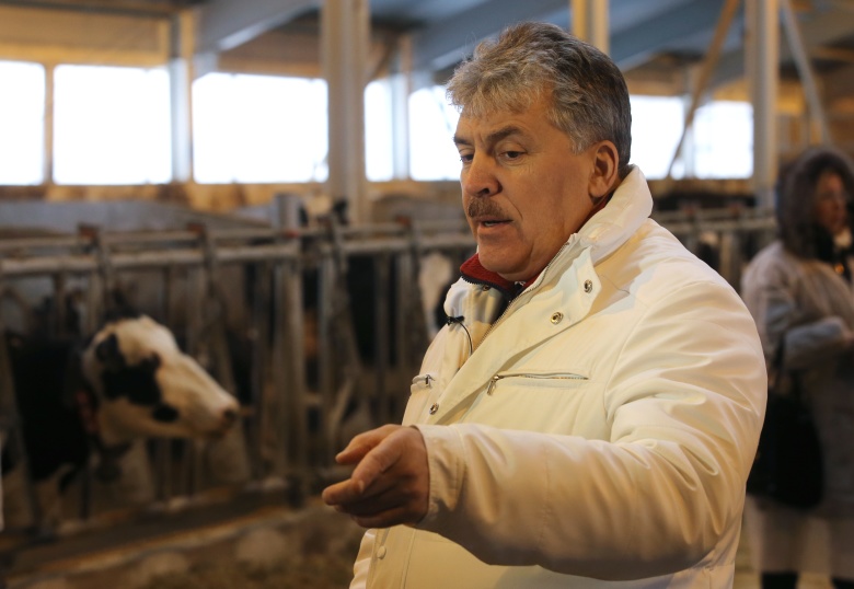 Павел Грудинин на молочной ферме в Московской области. Фото: Виталий Белоусов / РИА Новости