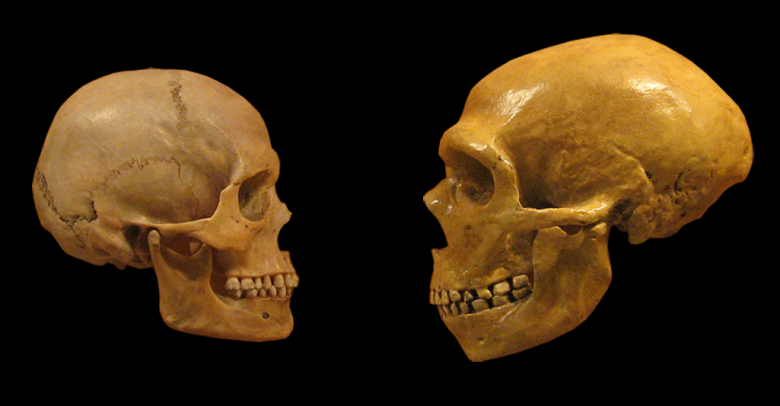 Сапиенс и неандерталец. Иллюстрация: wikipedia.org
