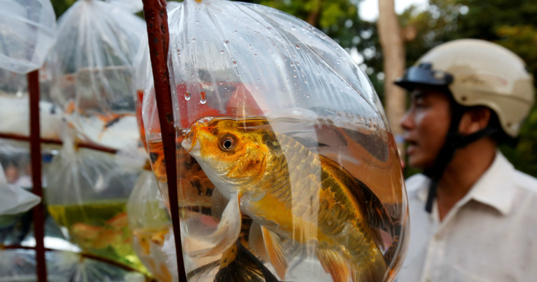 Продажа рыбы на улицах Ханоя. Фото: Kham / Reuters