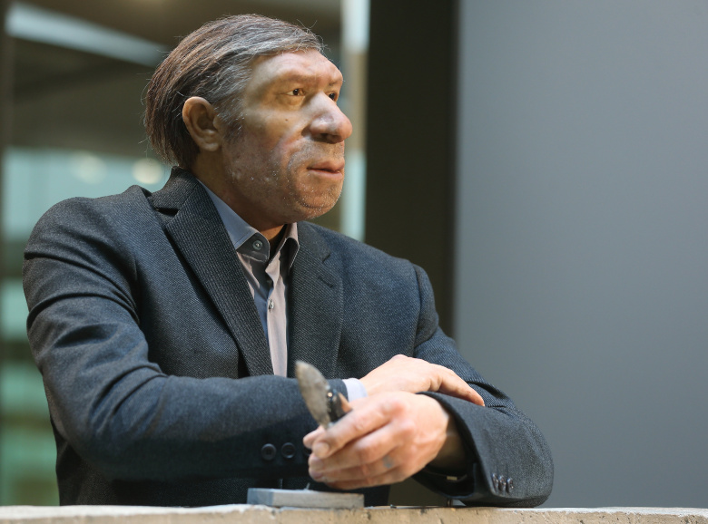 Эффективный менеджер: анатомически точная восковая фигура неандертальца, одетого в современный костюм (но с каменным ножом в руке), в Неандертальском музее (Меттман, Германия). Имя персонажа —  «Мистер Четыре процента»: именно такова максимальная доля неандертальских генов в геноме современного человека.