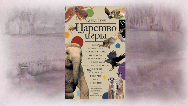 Дэвид Туми «Царство игры»