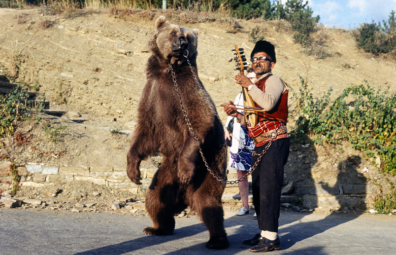Цыган с медведем, Болгария, около 1970 года