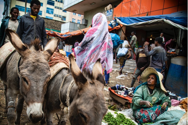 Аддис-Абеба. Фото: Unsplash.com