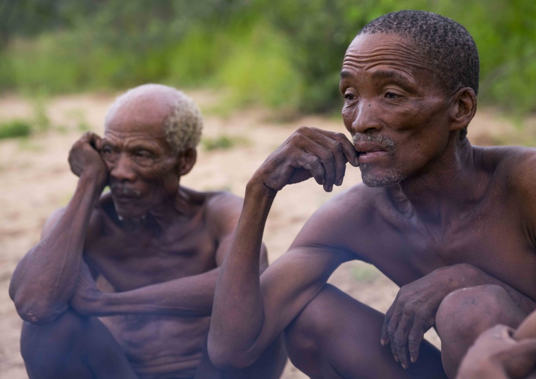Люди народа сан («бушмены»), проживающие в засушливых областях  на территории Южной Африки, Намибии и Ботсваны, — возможно, старейшая популяция людей на Земле. Их геномы усеяны многообразными и древними вариациями.
