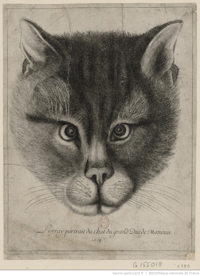 Вацлав Холлар. Подлинный портрет кота великого князя Московии. 1663