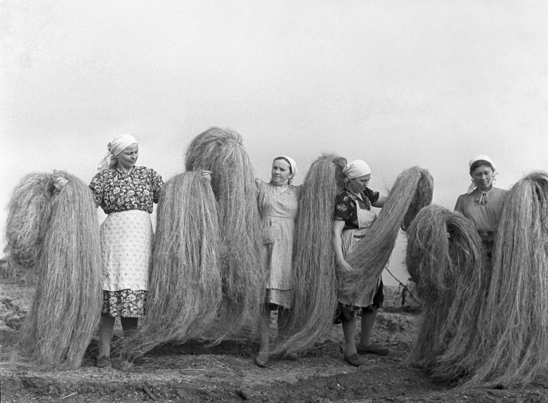 Пенькозавод села Каменовки, 1964. Фото: Олег Сизов / ТАСС
