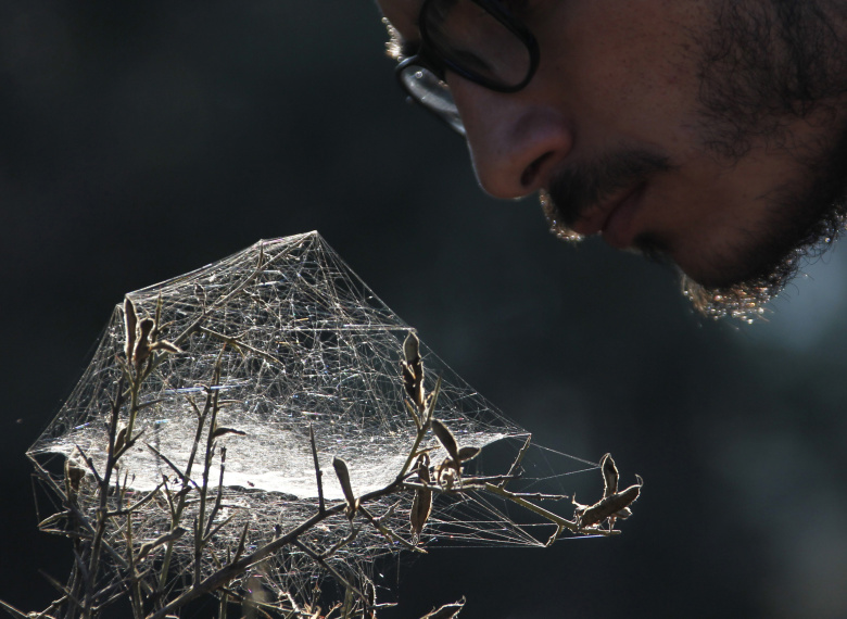Скаут изучает паутину в Джеззине, Ливан. Фото: Ali Hashisho / Reuters