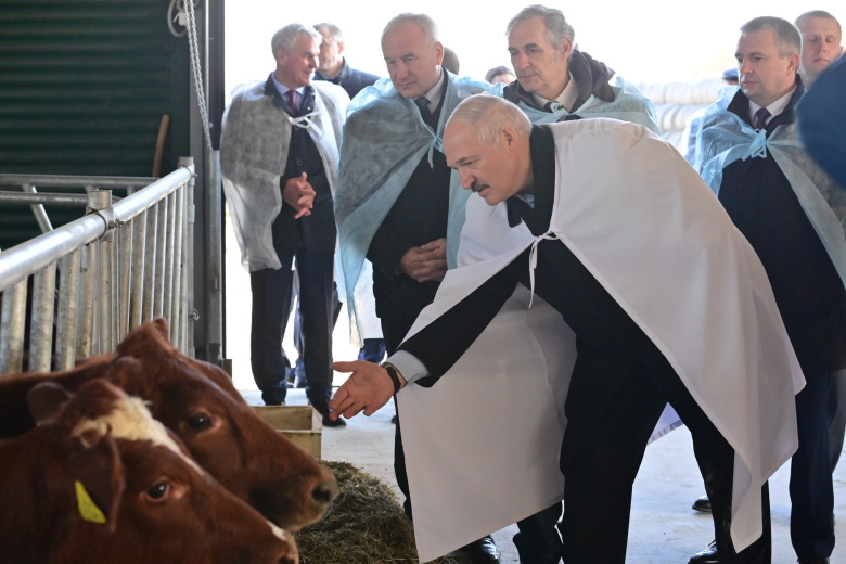 Александр Лукашенко посещает МТК "Устенский" в Оршанском районе. Фото: president.gov.by
