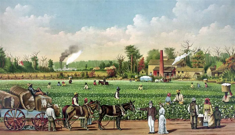 Хлопковая плантация на Миссисипи. Мастерская эстампов Currier and Ives, Нью-Йорк, 1884