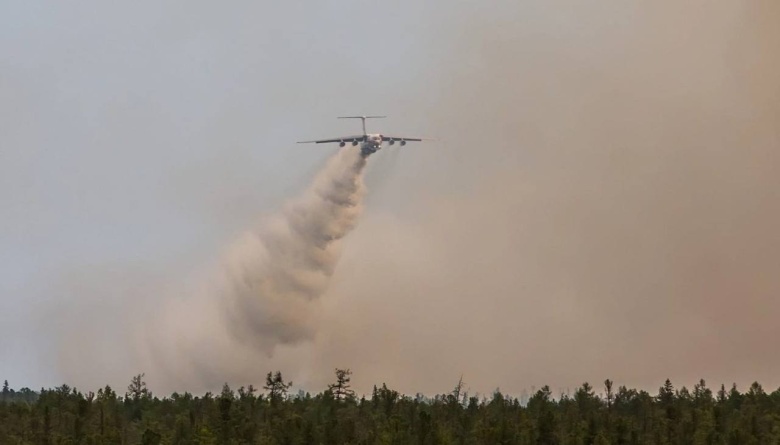 Тушение лесного пожара в Рязанской области
