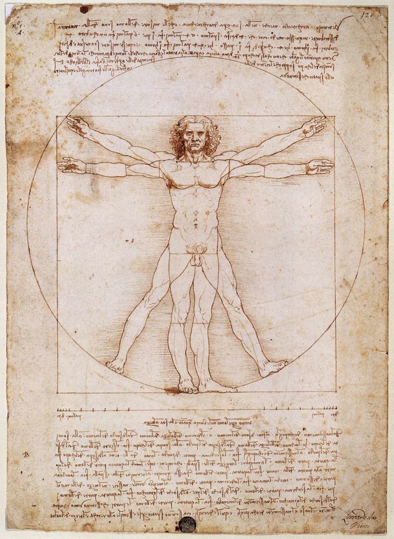 Леонардо да Винчи. Витрувианский человек, 1490 / Wikimedia Commons