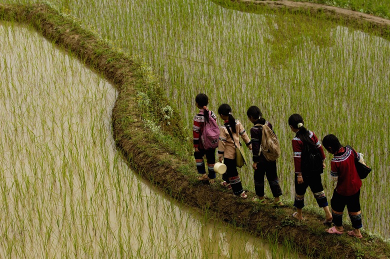 Девочки народа и (лолопо) переходят дамбу на рисовом поле. Провинция Юннань, Китай