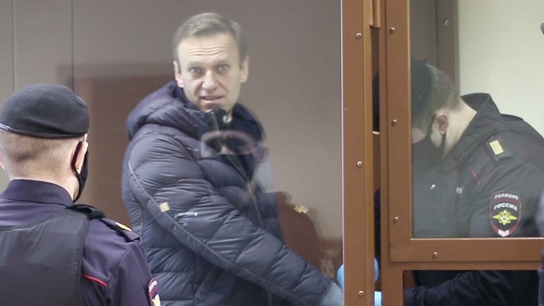 Алексей Навальный. Фото:  Пресс-служба Бабушкинского суда Москвы