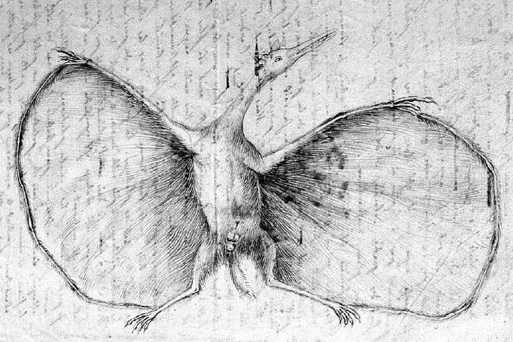 Первое научное изображение птерозавра. Иоганн Герман, 1800