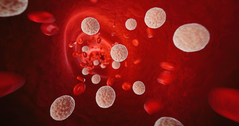 Изображение холестерина в крови. Иллюстрация: Getty Images
