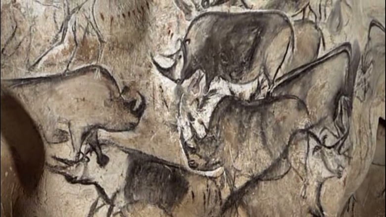 Изображения носорогов в пещере Шове (Франция) были сделаны ок. 36 000 лет назад