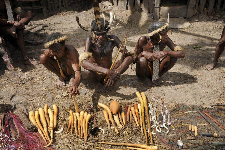Папуа-Новая Гвинея. Мужчины из племени дани продают туристам котеки (футляры для пениса)
