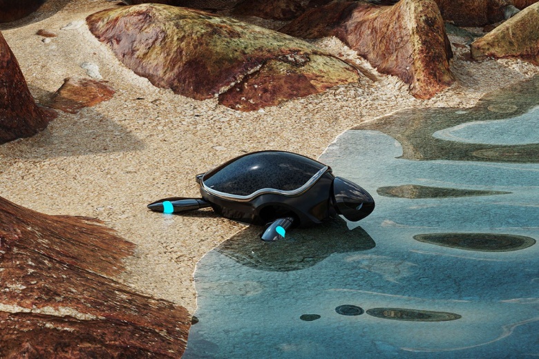 RoboTurtle компании BeatBoot