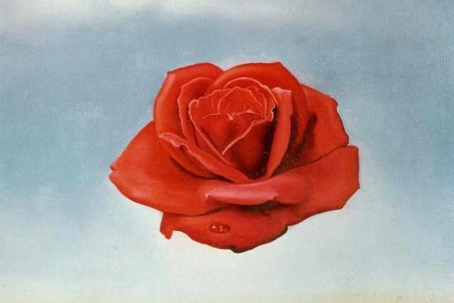 Фрагмент картины Сальвадора Дали «Медитативная роза»