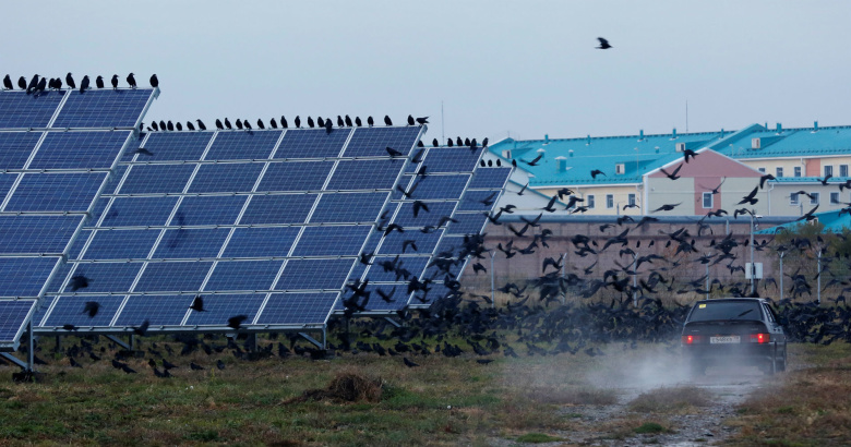 Солнечные панели, Абакан. Фото: Ilya Naymushin / Reuters