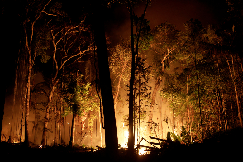 Пожар в Дождевых лесах Амазонии. Фото: Ricardo Moraes / Reuters
