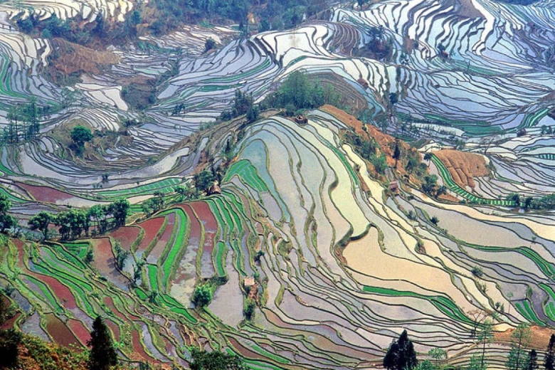 Древние террасные поля для возделывания риса. Провинция Юньнань, Китай.