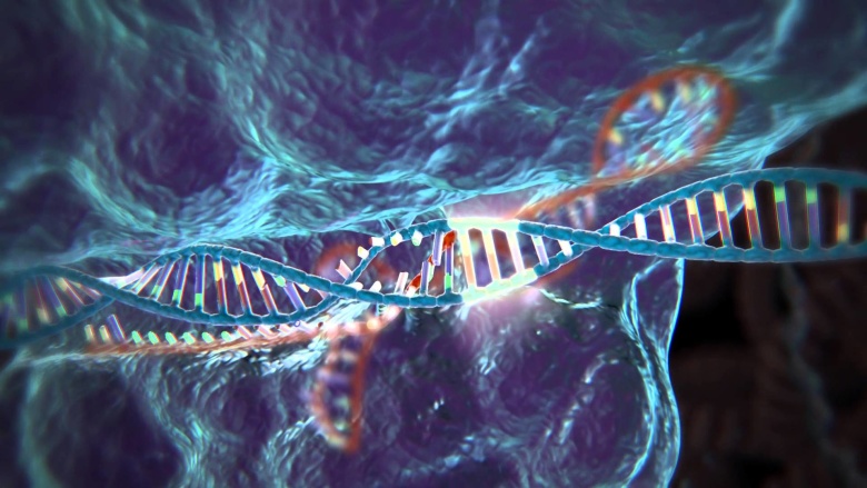 Технология редактирования генома CRISPR/Cas9. Фото: youtube.com