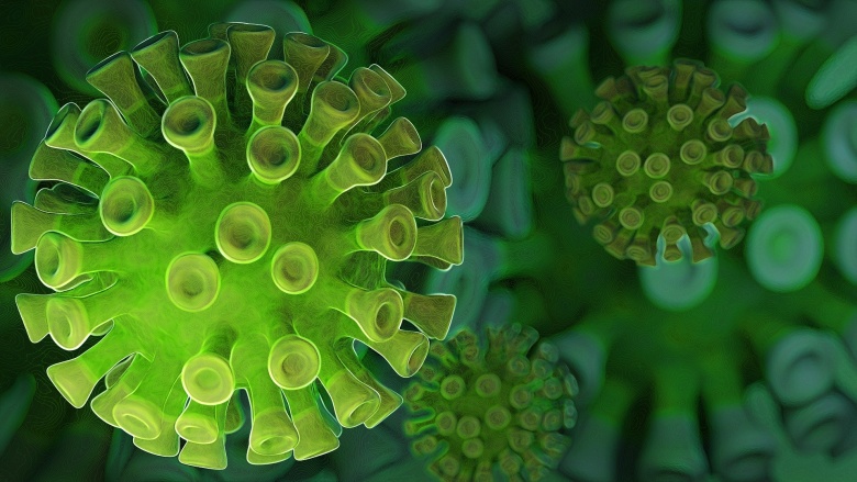 Визуализация коронавируса. Фото: pixabay.com