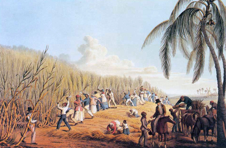 Уборка сахарного тростника на рабовладельческой плантации в Вест-Индии. Картина Уильяма Кларка, 1823