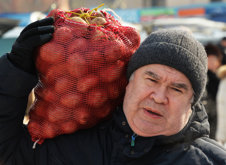 Покупатель картофеля на продовольственной ярмарке на центральной площади Владивостока. Фото: Виталий Аньков / РИА Новости