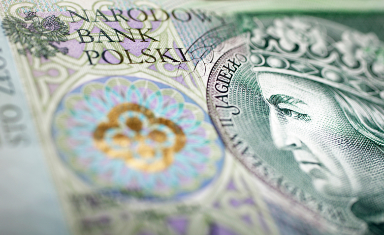 Польский злотый - официальная валюта Республики Польша.