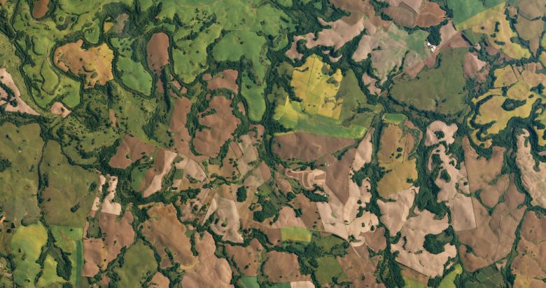 Спутниковый снимок Descartes Labs  плантаций тростникового сахара в Бразилии