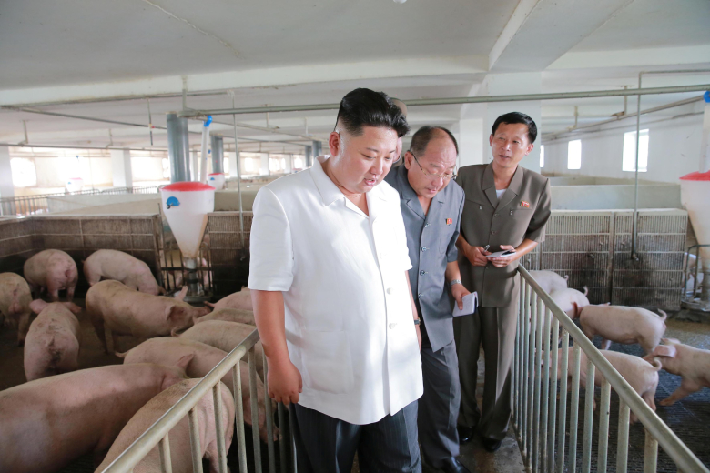 Ким Чен Ын на ферме. Фото:  KCNA / Reuters