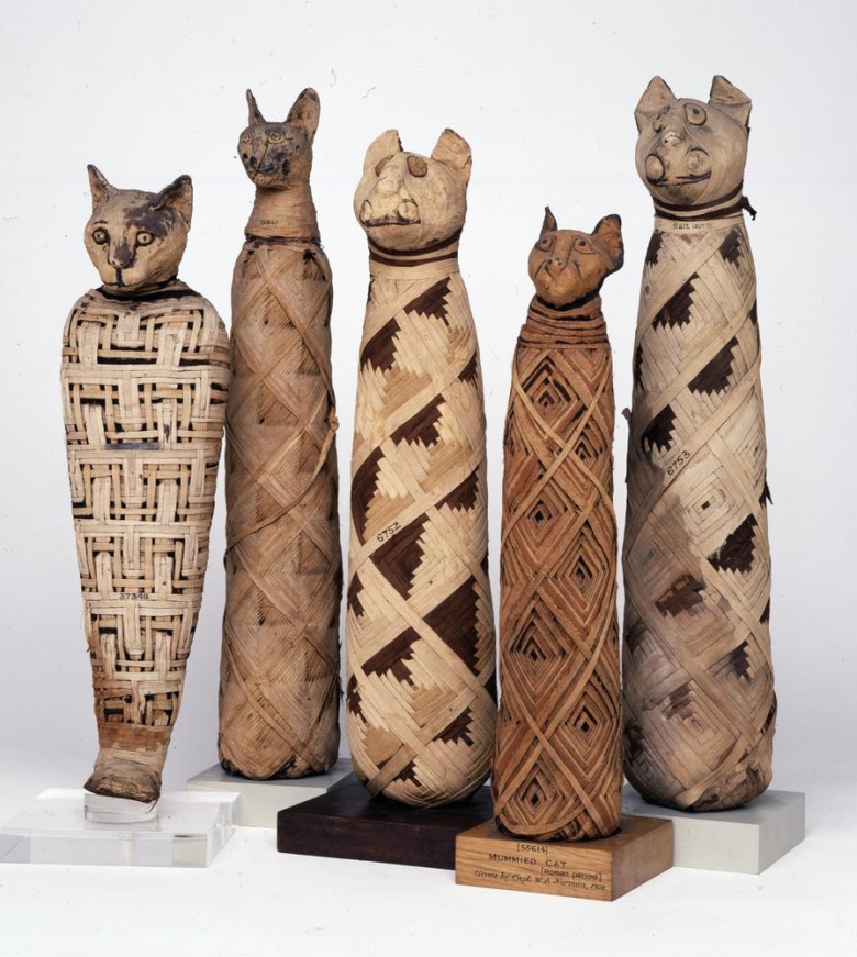 Египетские мумии кошек в Британском музее. В Древнем Египте кошка почиталась как воплощение богини Баст — покровительницы деторождения и защитницы от заразных болезней