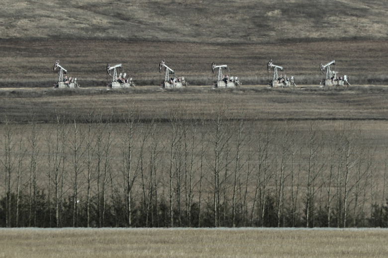 Добыча нефти на нефтегазодобывающем управлении «Ямашнефть» (входит в состав ПАО «Татнефть») в Альметьевском районе. Фото: Егор Алеев / ТАСС